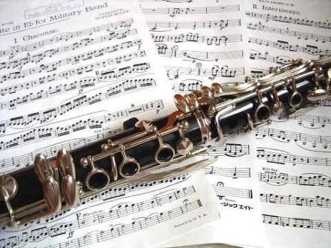 Cursuri/meditatii clarinet si saxofon online