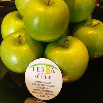 Terra Clean Service