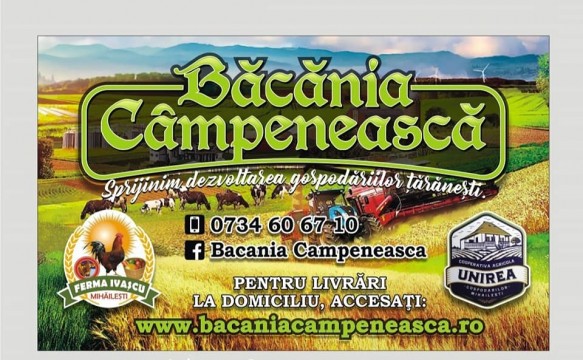 Bacania Campeneasca