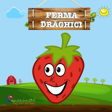Ferma Drăghici - Strawberry Mârșani - Dolj