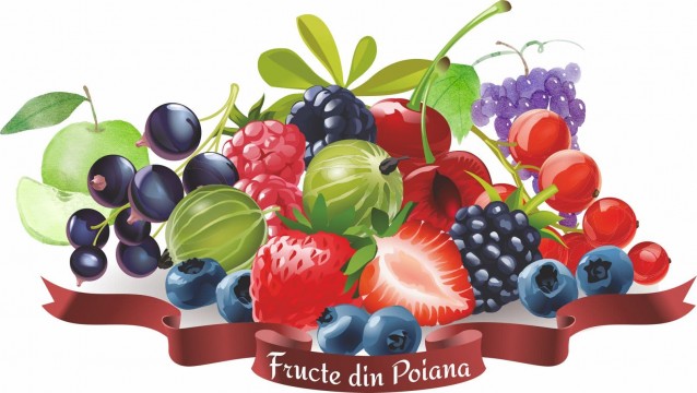Fructe din Poiana