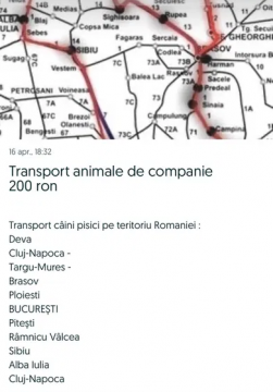 Transport animale de companie