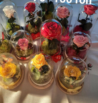 Crio and Soap Flower/Trandafiri criogenati si flori de sapun