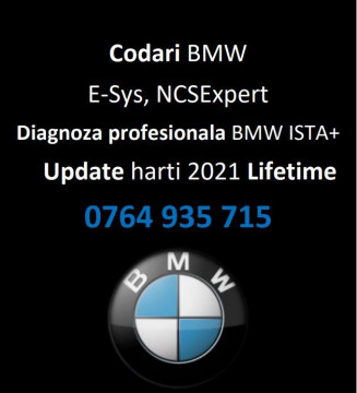 Ofer Diagnoza Tester Auto BMW