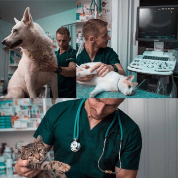 Echipa BestRomVets vă stă la dispoziție cu variate servicii medical veterinare
