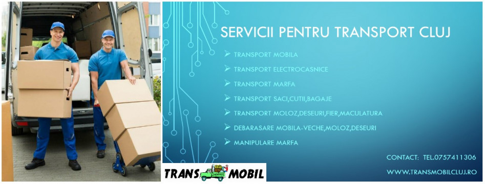 Mutari mobila,Debarasare,Transport marfa,Montaj mobila TransMobil-Cluj