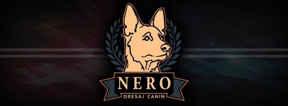 Dresaj canin Nero