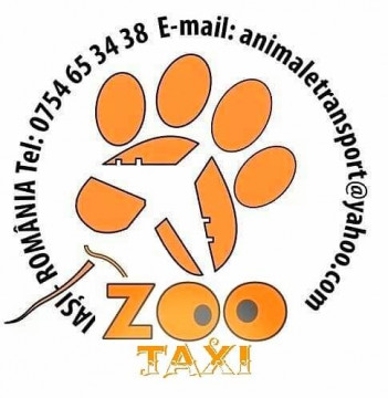 Pet Transport Zootaxi