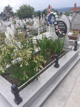 Monumente funerare Vaslui -Serban