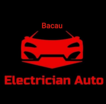 Electrician-Auto
