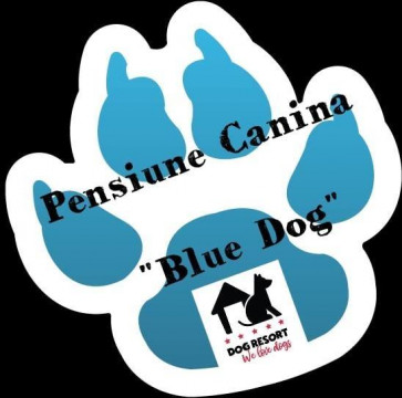 Pensiune Canina -Blue Dog